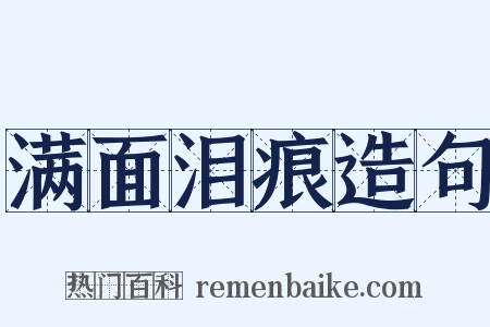 满面泪痕造句是什么意思的图片